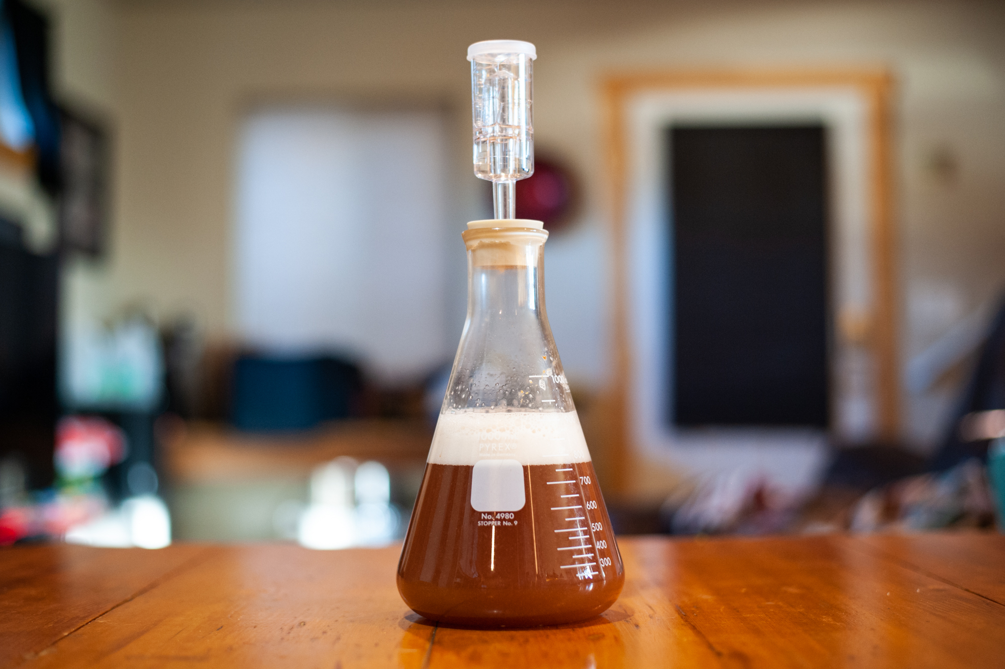 Old Gold Golden Sour Ale Recipe Yeast Driven