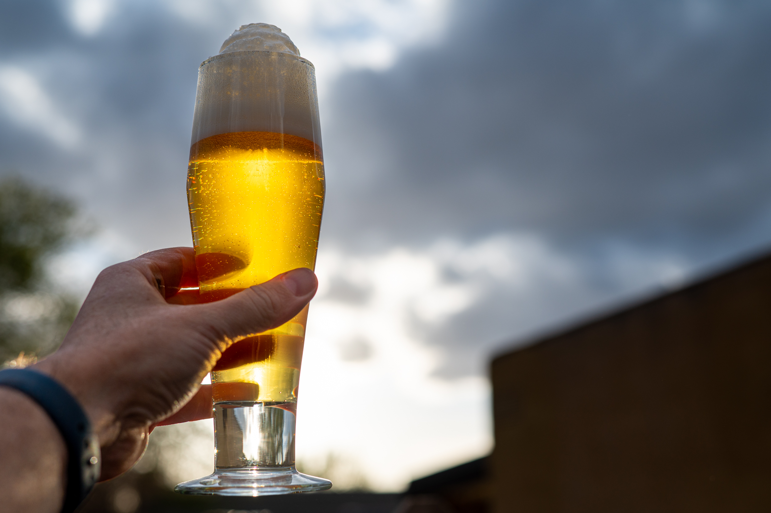 Foam Hands Czech Pilsner Recipe Yeast Driven